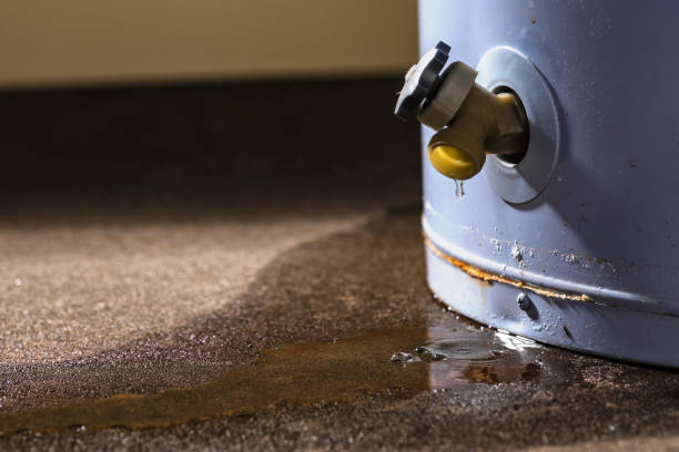 Best Water damage restoration near me  in Garland, UT