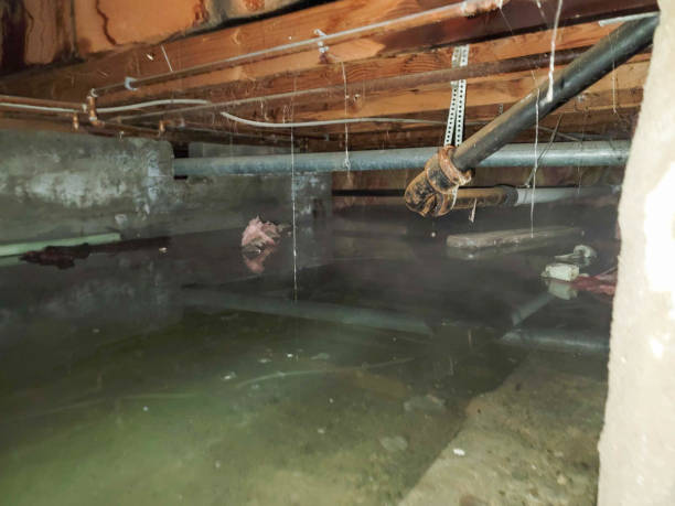 Water damage restoration insurance claims in UT