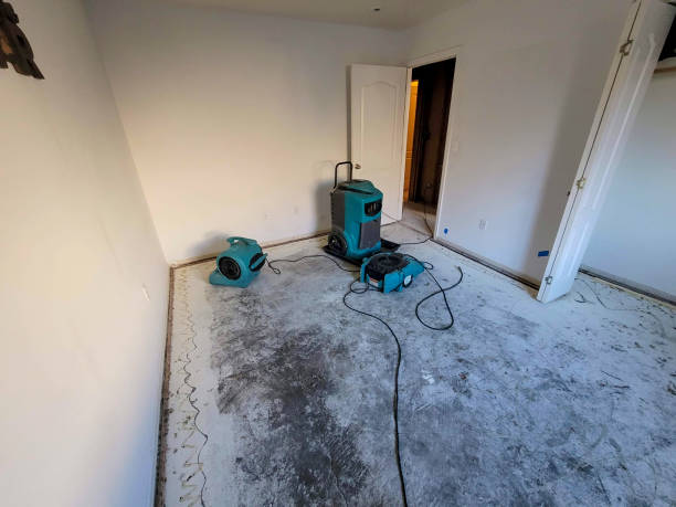 Best Basement water damage restoration  in Garland, UT