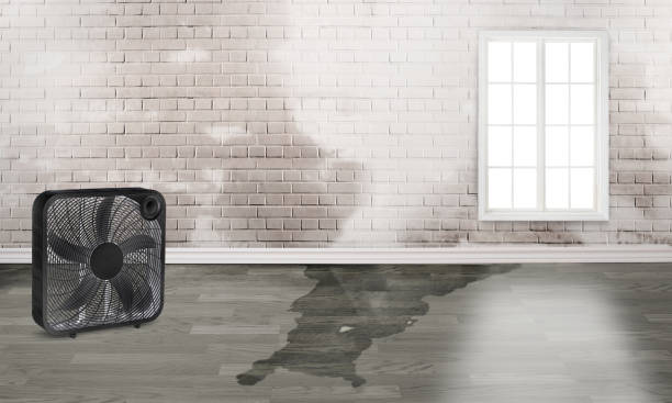 Professional Water damage restoration in UT