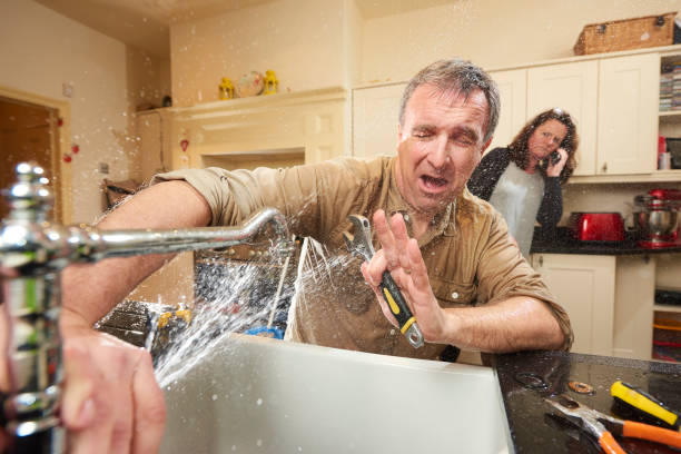 Best Local water damage restoration  in Garland, UT